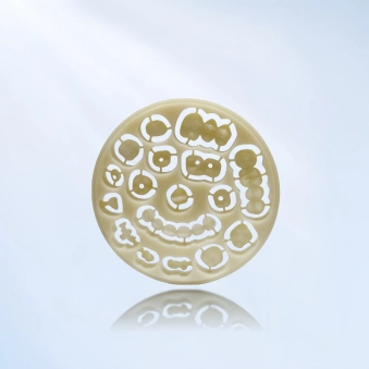 PMMA dental blank manufacturer